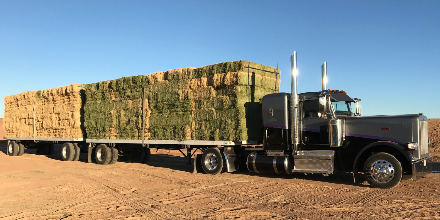 Semi truck loaded with stacked hay bales on a dirt field.