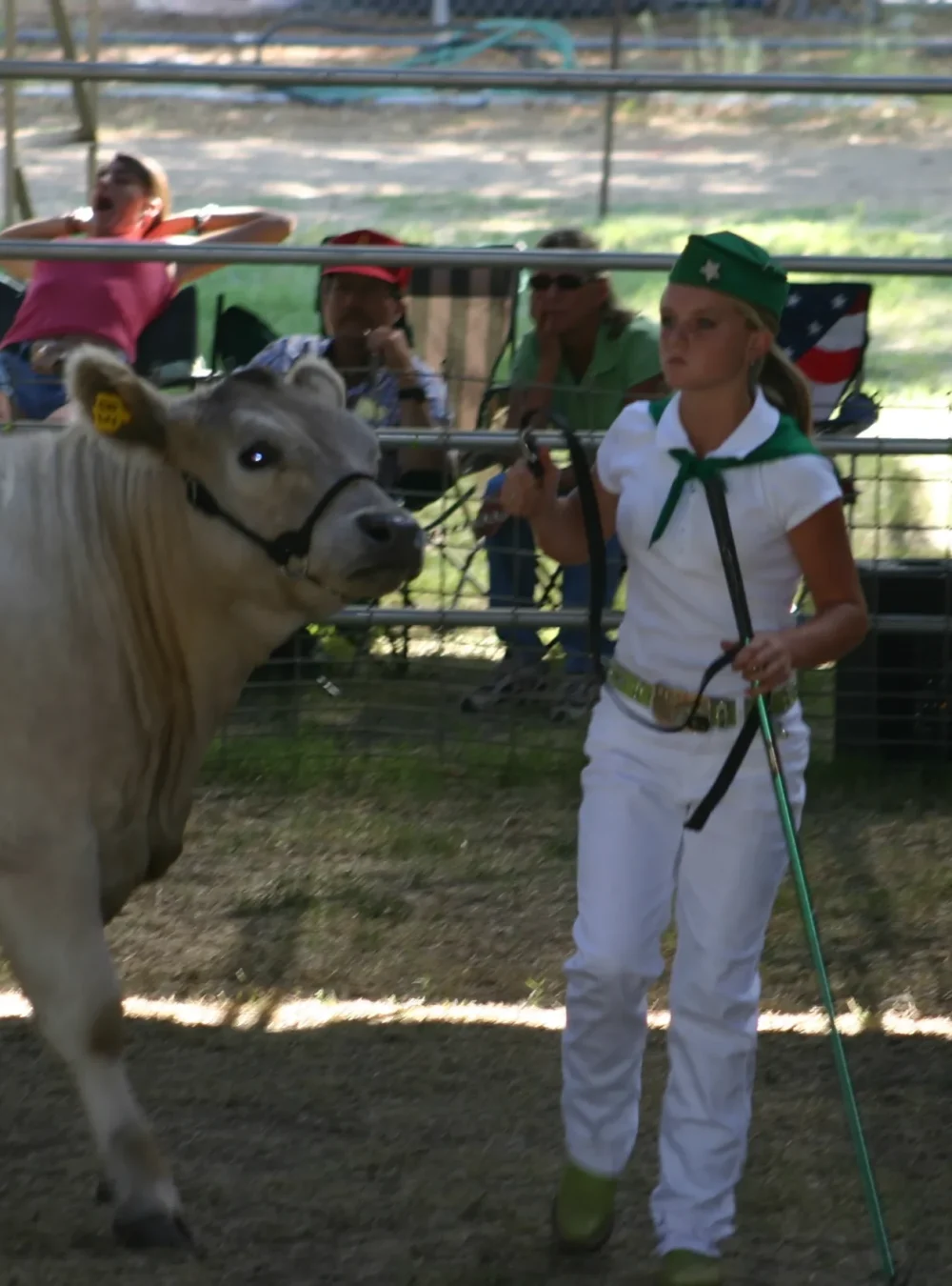 Alyssa showing steer